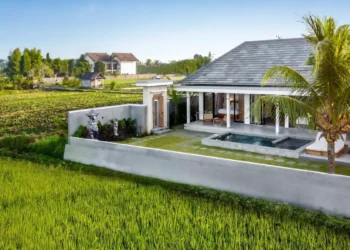 Photo of a villa building in the middle of a rice field (IST)