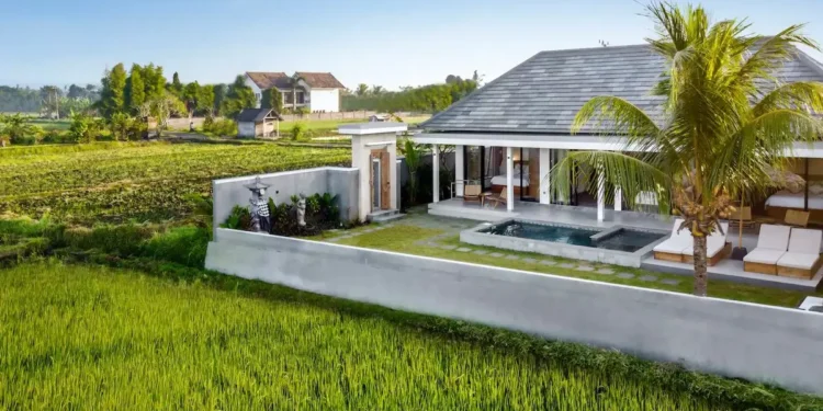 Photo of a villa building in the middle of a rice field (IST)