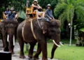 Photo of Elephant Riding at Bali Zoo