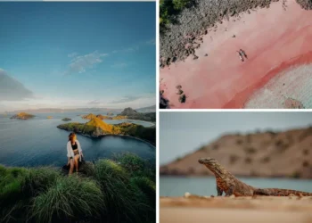 Komodo, Padar Island and Pink Beach Labuan Bajo