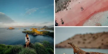 Komodo, Padar Island and Pink Beach Labuan Bajo