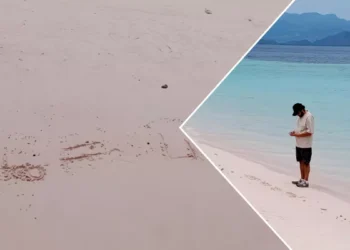 In a Quiet Act of Grief, Family Inscribes Names of Missing Valencia Coach and Children on Komodo’s Pink Sand