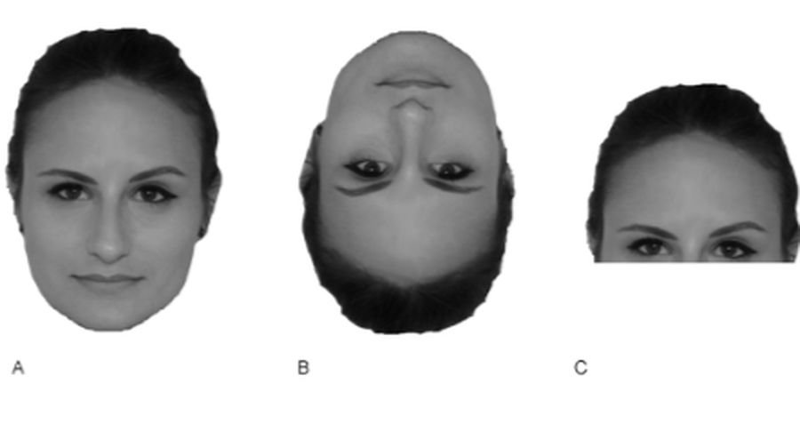 A Wealth of Expression: Research Suggfaces May Unconsciously Reveal Socioeconomic Status 38 A Wealth of Expression: Research Suggfaces May Unconsciously Reveal Socioeconomic Status