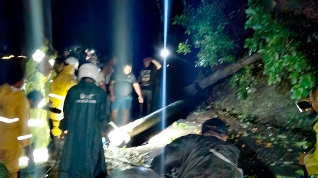 Photo: A fallen tree in Subuk Village, Busungbiu District, Buleleng, Bali, Thursday (January 15, 2026). (doc. Buleleng Regional Disaster Management Agency)