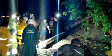 Photo: A fallen tree in Subuk Village, Busungbiu District, Buleleng, Bali, Thursday (January 15, 2026). (doc. Buleleng Regional Disaster Management Agency)