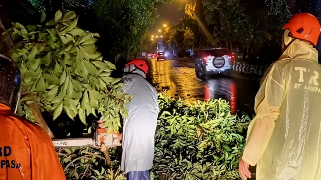 Photo of a fallen tree due to storms and severe weather in Bali. Officers remove a fallen tree in Denpasar, Tuesday evening (January 21, 2026). (Photo: Denpasar Regional Disaster Management Agency)