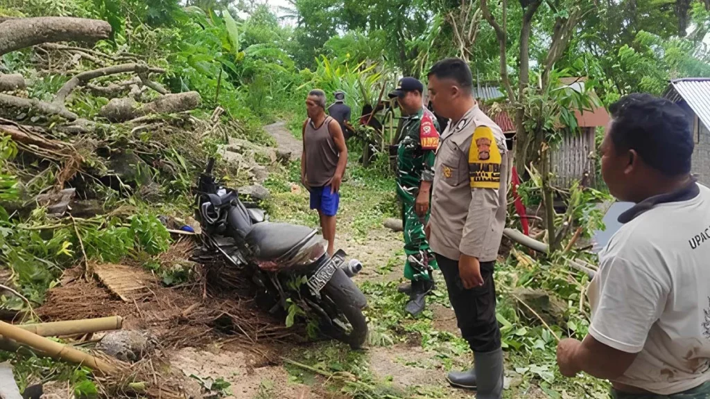 Strong Winds Wreak Havoc in Bali, Toppling Trees and Street Infrastructure 1 Photo: Officers evacuate a motorcycle that was hit by a fallen tree in Seraya Barat Village, Karangasem, Tuesday (January 20, 2026). (Doc. Karangasem Regional Disaster Management Agency)