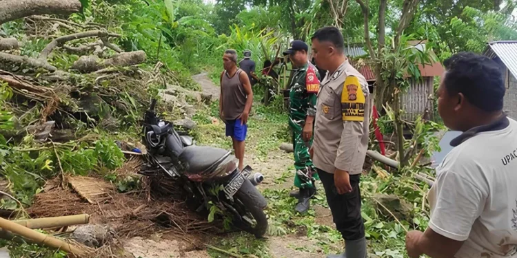 Photo: Officers evacuate a motorcycle that was hit by a fallen tree in Seraya Barat Village, Karangasem, Tuesday (January 20, 2026). (Doc. Karangasem Regional Disaster Management Agency)