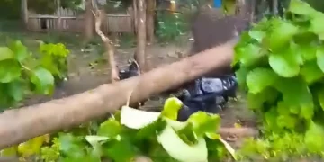Photo: Screenshot of a video showing a fallen tree hitting a motorcycle in Labuan Bajo, West Manggarai, East Nusa Tenggara, Thursday (January 15, 2026). (IST)
