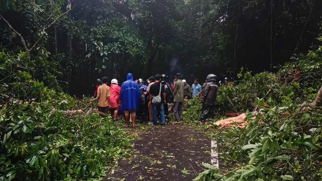 The process of clearing fallen trees on Sembalun Main Road, East Lombok, West Nusa Tenggara, Thursday (January 15, 2026).