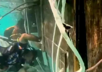 Screenshot of a video of the search at the Putri Sakinah shipwreck in Komodo on January 6, 2026 - Inside the Wreck: Exclusive Underwater Footage Reveals Final Sweep of the Sunken 'Putri Sakinah'