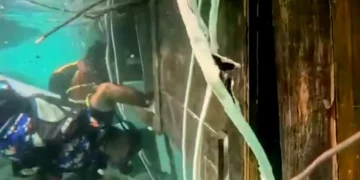 Screenshot of a video of the search at the Putri Sakinah shipwreck in Komodo on January 6, 2026 - Inside the Wreck: Exclusive Underwater Footage Reveals Final Sweep of the Sunken 'Putri Sakinah'