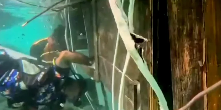 Screenshot of a video of the search at the Putri Sakinah shipwreck in Komodo on January 6, 2026 - Inside the Wreck: Exclusive Underwater Footage Reveals Final Sweep of the Sunken 'Putri Sakinah'