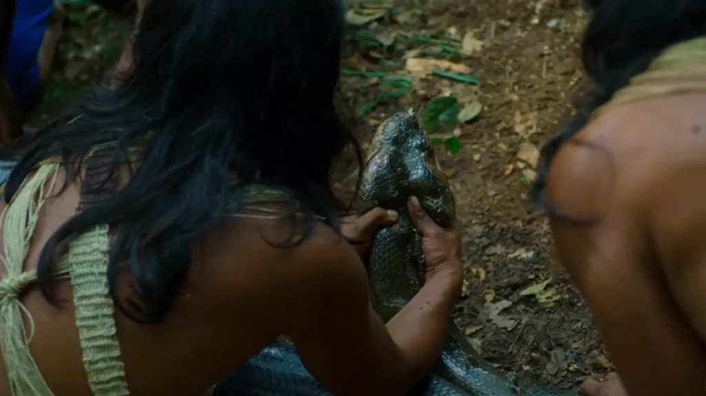 Video: Will Smith's Amazon Expedition Leads to Discovery of New Giant Anaconda Species 38 New Giant Anaconda Species