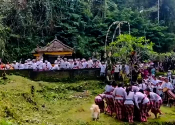 Siat Untek: The Sacred 'War' Where Bali's Fertility is Won with Rice Cakes