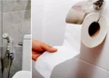 Photo of toilet tissue and shower toilet