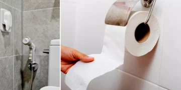 Photo of toilet tissue and shower toilet