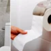 Water vs. Toilet Paper: The Science and Culture Behind Indonesia's Bathroom Habit 45 Photo of toilet tissue and shower toilet