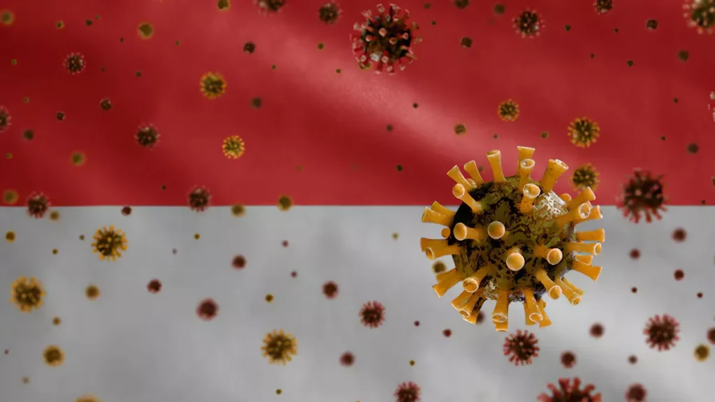 Thailand's Proactive Stance: Screening 1,700 Passengers for Nipah Virus as Bali Watches 1 Illustration of Indonesia under the threat of the Nipah Virus (Hey Bali)