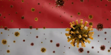 Illustration of Indonesia under the threat of the Nipah Virus (Hey Bali)