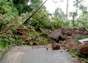 Photo: A landslide occurred in Banjar Batu Gede, Duda Timur Village, Selat District, Karangasem, Friday morning (February 6, 2026). (Doc. Karangasem Regional Disaster Management Agency)