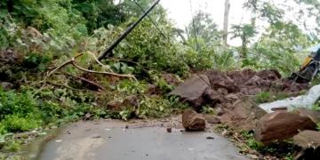 Photo: A landslide occurred in Banjar Batu Gede, Duda Timur Village, Selat District, Karangasem, Friday morning (February 6, 2026). (Doc. Karangasem Regional Disaster Management Agency)