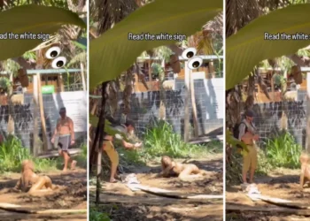 Rolling in Mud for Content: A Bali Tourist's Viral Stunt Draws Backlash and a Warning 39 Screenshot of Viral Video of Woman Playing in Mud (Hey Bali)