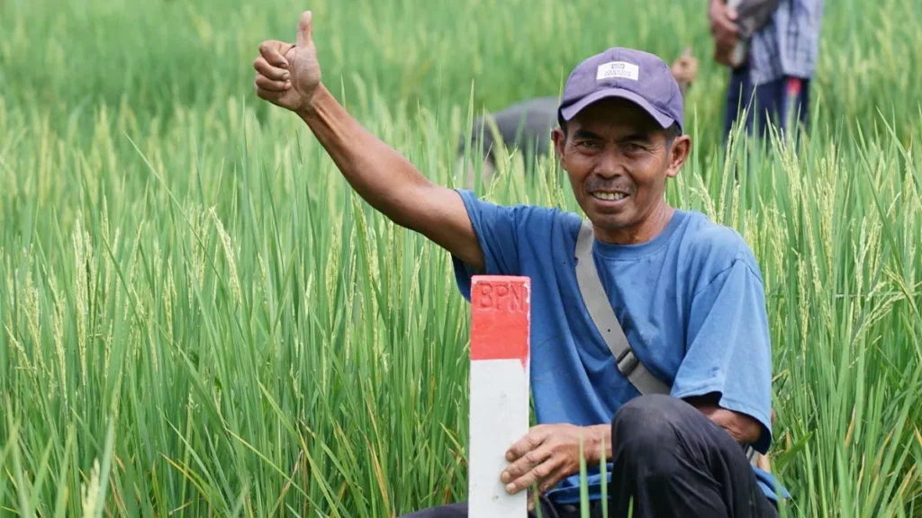 Splitting Land Certificates in Bali: Costs, Legal Steps, and What Property Investors Must Know 38
Photo of a farmer showing land boundaries marked by stakes made by the National Land Agency (Photo: ATR/BPN)