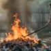 Bali Banned Organic Waste from Its Main Dump. Now Residents Are Burning It 44 Photo of a resident burning plastic and organic waste with thick smoke that causes air pollution (Ist)