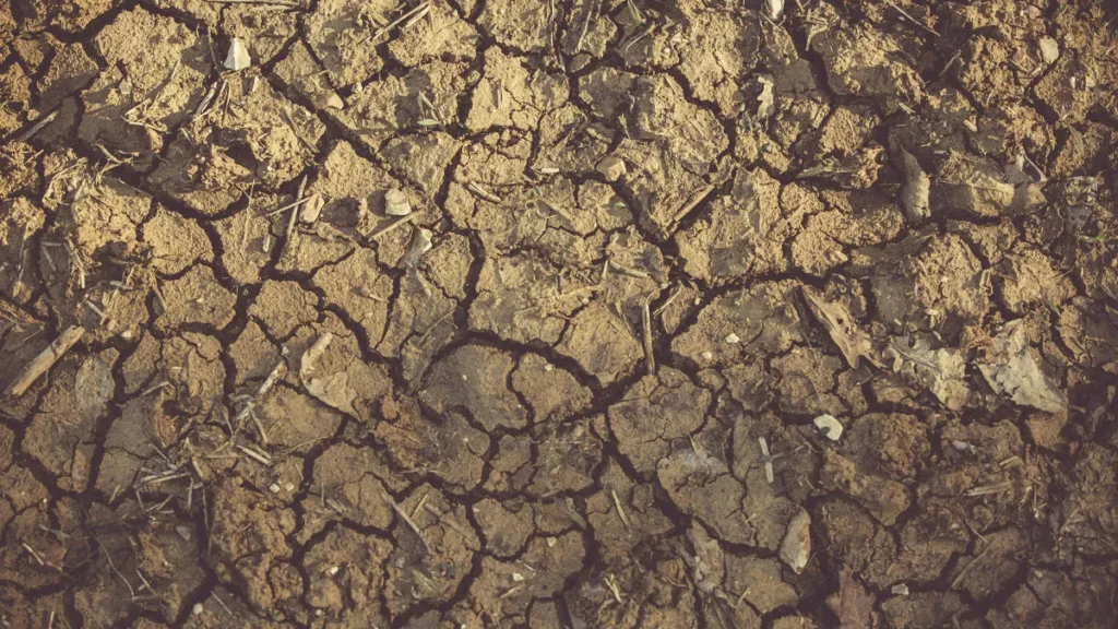 El Nino 2026 Could Bring a Drier Bali: BMKG Warns of Increased Drought Risk in Buleleng and Nusa Penida 38 Illustration of drought. Godzilla El Niño 2026 Threatens Bali (Hey Bali)