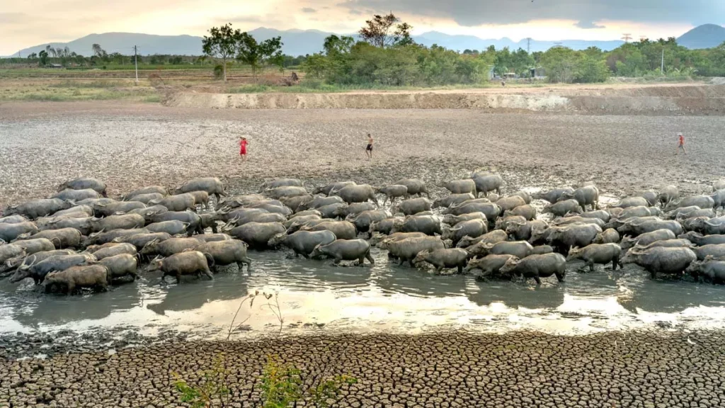 Illustration of drought. Godzilla El Niño 2026 Threatens Bali (Hey Bali)