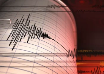 Bali Felt It Too: Magnitude 4.8 Earthquake in Jember Shakes Buildings Across the Strait 38 Earthquake Illustration Photo