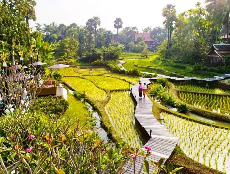 Saving Bali’s Subak in a Growing City Where Tradition Now Comes With a Salary 38 978c8379526f501f24f29a51dde301ac 6a0dea227ef99