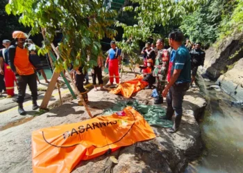 No Certified Guide, No Safety Training: New Details Emerge in Labuan Bajo Bridge Deaths 40 Photo of the evacuation process of two tourists from Austria in Cunca Wulang, Labuan Bajo.