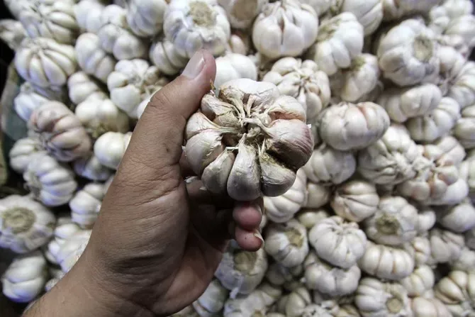 The Rupiah Has Fallen to Rp 17,784 Per Dollar. In Bali, Expats Are Starting to Feel It in Their Kitchens. 38 Photo of Garlic whose price is affected by the increase in the US dollar exchange rate
