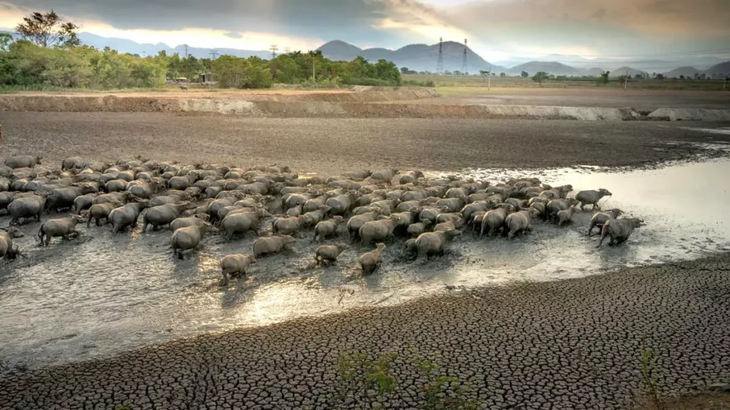 Bali Dry Season
