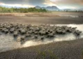 Bali Dry Season