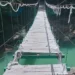 The condition of the suspension bridge at Cunca Wulang Waterfall, West Manggarai, East Nusa Tenggara, Sunday (May 24, 2026). (Photo: Maumere Basarnas Doc.)