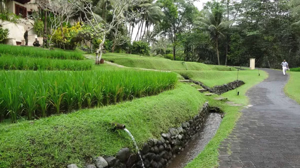 Subak Bali