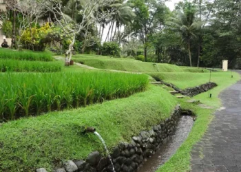 Subak Bali