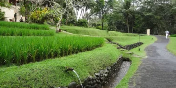 Subak Bali