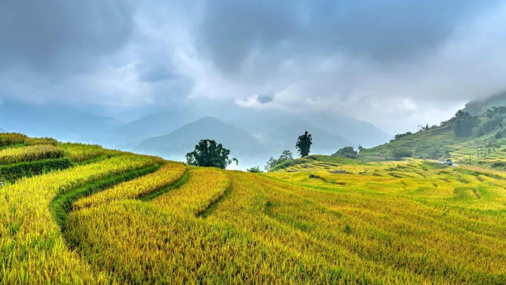 Bali Weather Forecast: May 30, 2026 1 sunny day in Bali