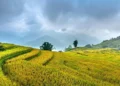 sunny day in Bali