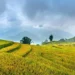 Bali Weather Forecast: May 30, 2026 47 sunny day in Bali