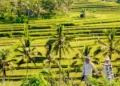 8 Best Places To Visit In Tabanan