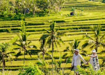 8 Best Places To Visit In Tabanan, Bali Beyond Canggu And Seminyak 38 8 Best Places To Visit In Tabanan