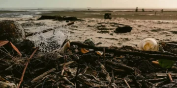 Trash on Bali Beach (Hey Bali)