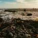 Trash on Bali Beach (Hey Bali)