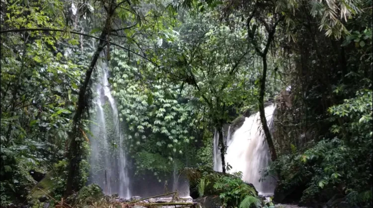 8 Best Places To Visit In Tabanan, Bali Beyond Canggu And Seminyak 41 Yeh Hoo Waterfall