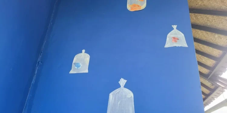 The Plastic Jellyfish of Gang Bintang: How Eight Artists in Ubud Are Trying to Save Your Dinner